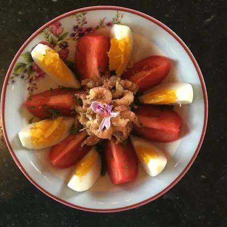 Hoeve Welgelegen 4* De Haan