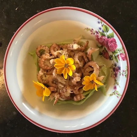 Hoeve Welgelegen Oda ve Kahvaltı 4*